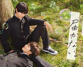 保险行业seo优化策划